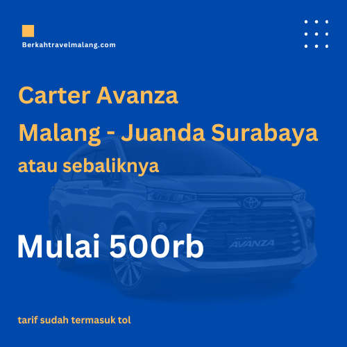 carter avanza