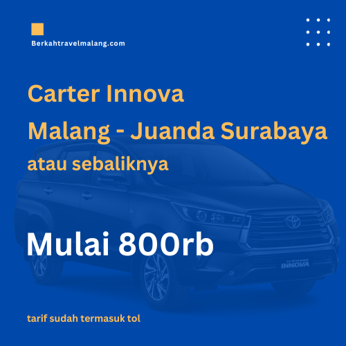 carter innova